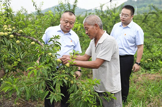 中江农商银行客户经理走访果农.jpg