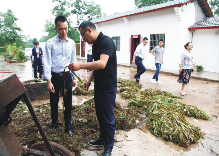 图形1.jpg