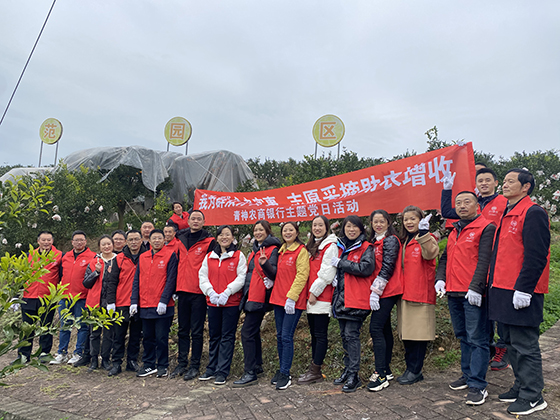 1“志愿采摘助农增收”主题党日活动照片.JPG