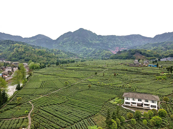 雨城区晏场镇宝田村.jpg