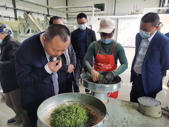 (1)雅安农商银行负责人了解茶企经营情况.png