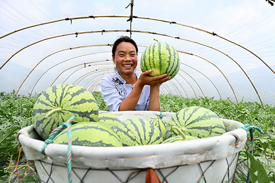 1652341088429284.jpg 2)5月10日, 在内江市东兴区永兴镇卢家村,当地瓜农正在展示西瓜.jpg