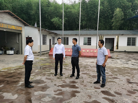1兴文农商银行党委书记、董事长陈雨在企业调研.jpg