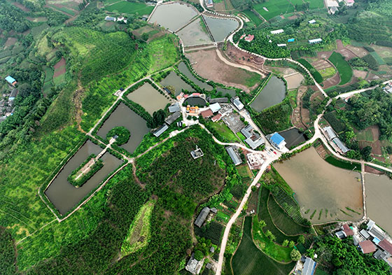 1655708695436656.jpg 1航拍内江市东兴区椑木镇红林村生态桃李园.jpg