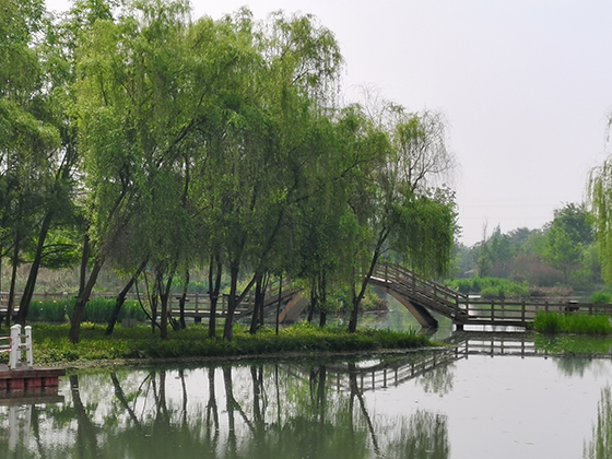 (3)幸福村一景.jpeg