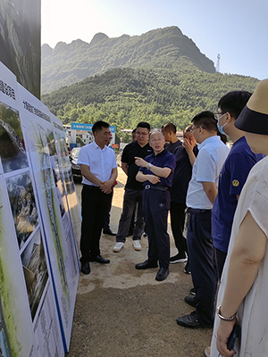 李后强在考察项目建设情况.jpg