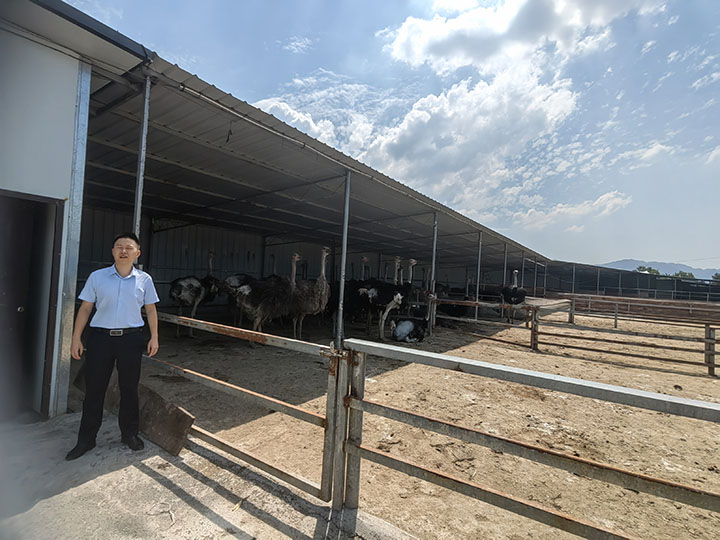 4工作人员实地调查鸵鸟养殖基地.jpg