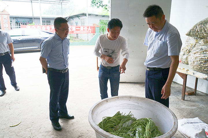1行领导班子第一时间深入田间地头进行实地走访调研.jpg