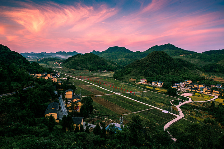 城北镇金垭村贵人槽蔬菜基地  邻水县民政局供图.jpg