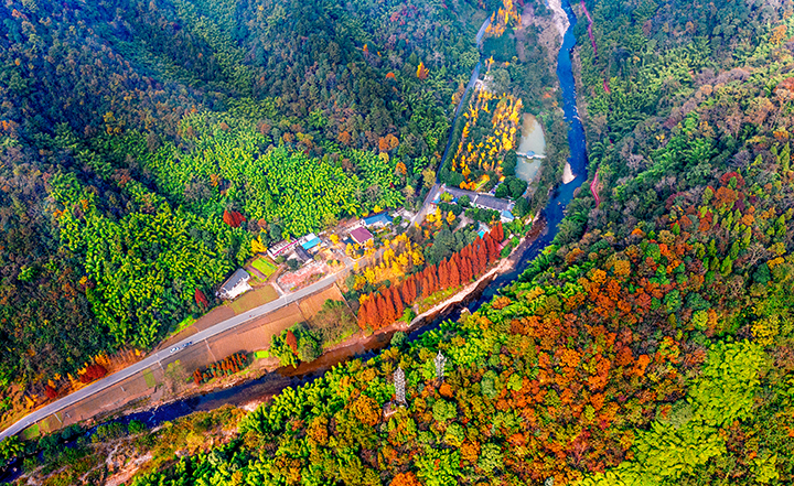 龙门山谷美景.jpg