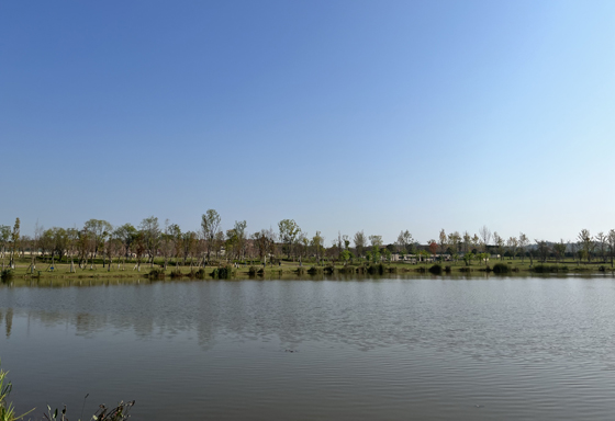 岳池龙湖公园.jpg
