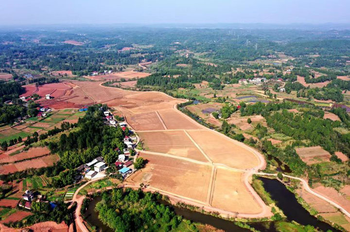 6.飞凤山村高标准农田全貌.jpg