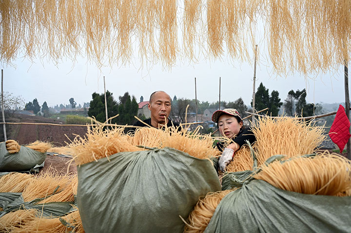 1673323372432113.jpg 4)当地村民将晾干的粉条装车.jpg