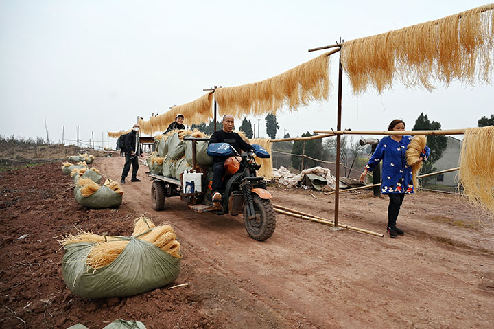 1673323376667977.jpg 5)当地村民忙着转运粉条.jpg