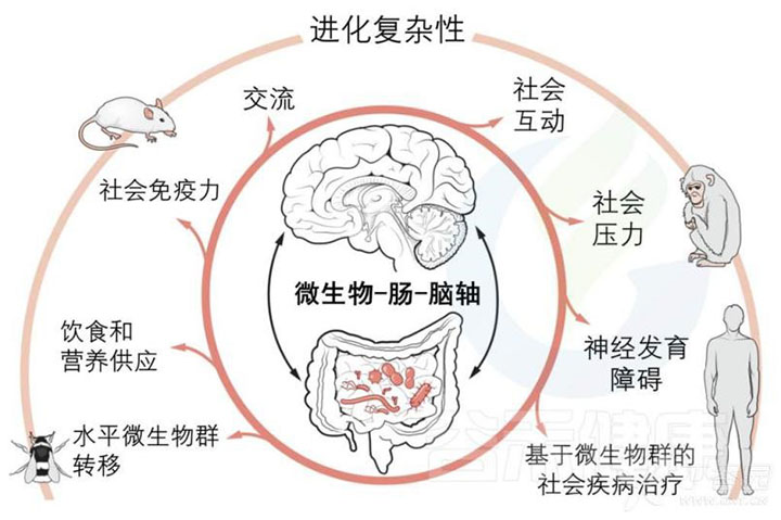 图片7.jpg