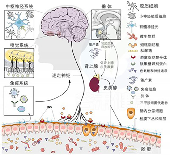 图片8.jpg