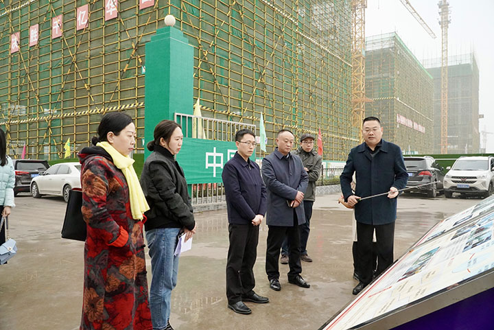 3调研组考察川渝高竹新区项目建设情况.jpg