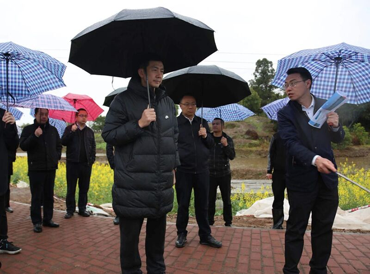 2)县委书记肖刚（左）带队来到云龙镇葛藤湾村，调研土地整理及稻虾产业规划情况.png