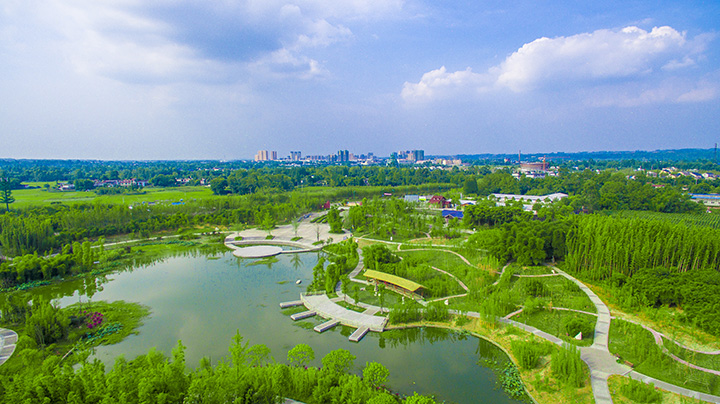 1位于四川青神的中国首个竹林湿地公园 拷贝.jpg