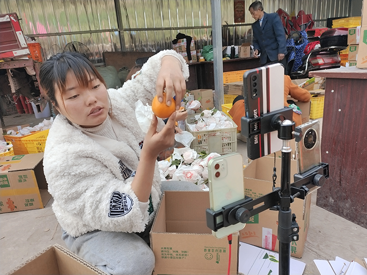3朱某妻子直播销售基地柑橘.png
