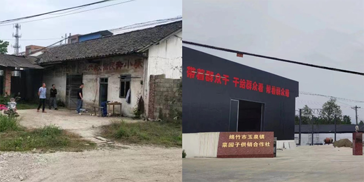 1玉泉镇食用菌种植基地建成前后的情况对比.png