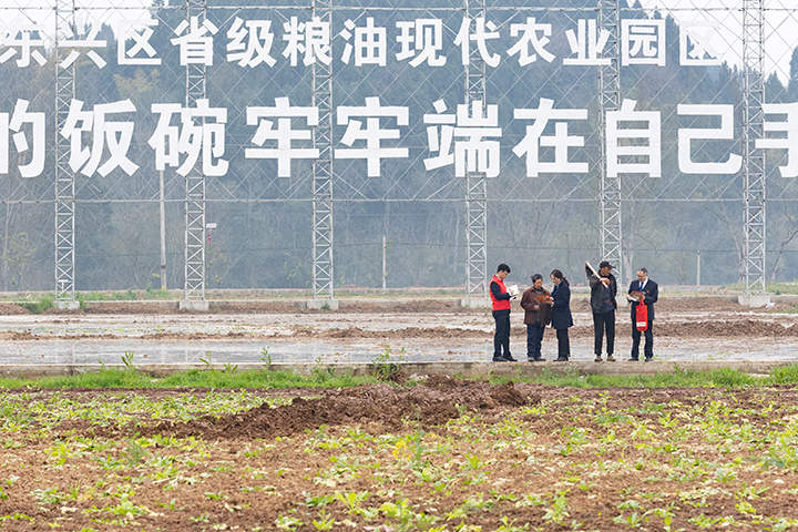 1内江农商银行员工在现代农业产业园区开展走访.jpg