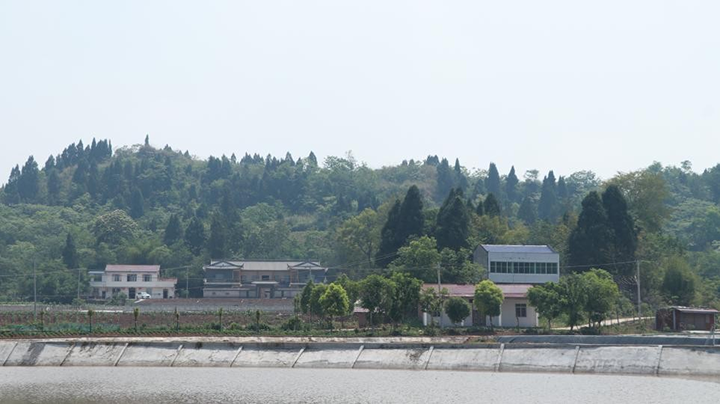 图5  新庙子村新农村.png