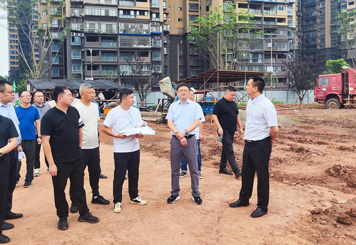 2唐栋良查看杨桥湖公园建设.png