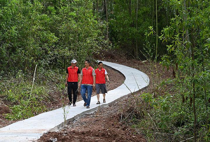 图1  6月12日，内江市东兴区斑竹林场，森林防火员巡护在新建成的“防火步道”上。.jpg