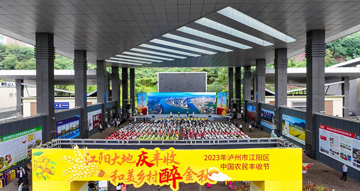 图片1欢庆活动现场.png