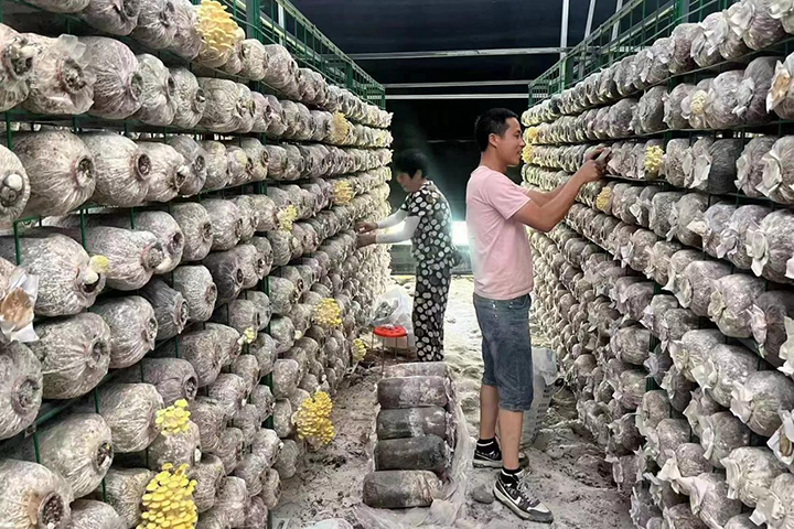 2生产加工基地内.png