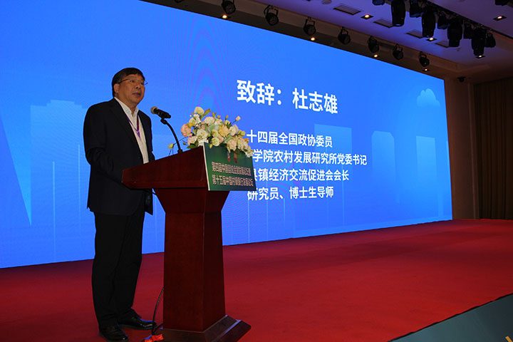 5.中国社会科学院农村发展研究所党委书记、中国县镇经济交流促进会会长、研究员、博士生导师杜志雄致辞.jpg