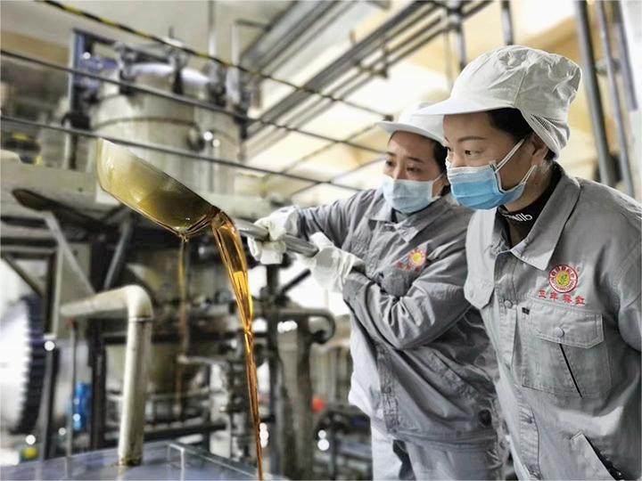 技术人员对出产的花椒油进行质量检查（黄世涛摄）.jpg