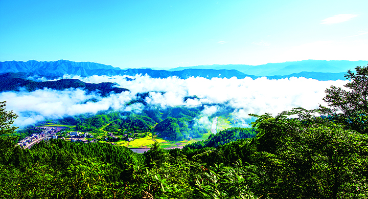 5通江银耳发祥地——陈河九湾十八包.jpg