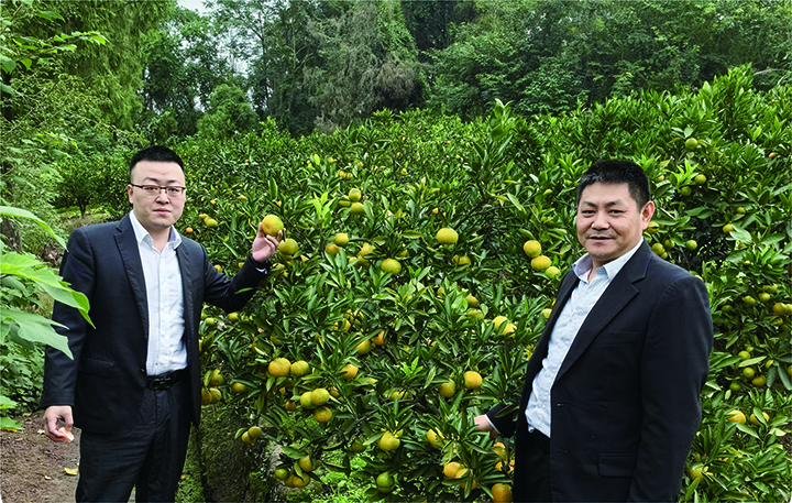 客户经理实地考察果园情况.jpg