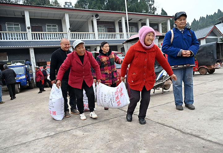 图3  油菜种植户喜领免费复合肥.jpg