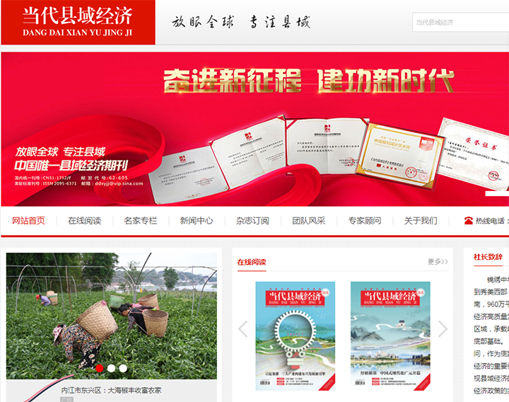 8 当代县域经济网站首页截图 拷贝.jpg