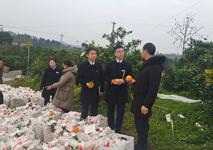 图片2.jpg