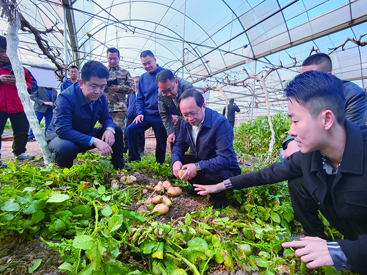 5凉山州委常委、西昌市委书记马辉召开粮经套种现场会  西昌市农业农村局供图.jpg