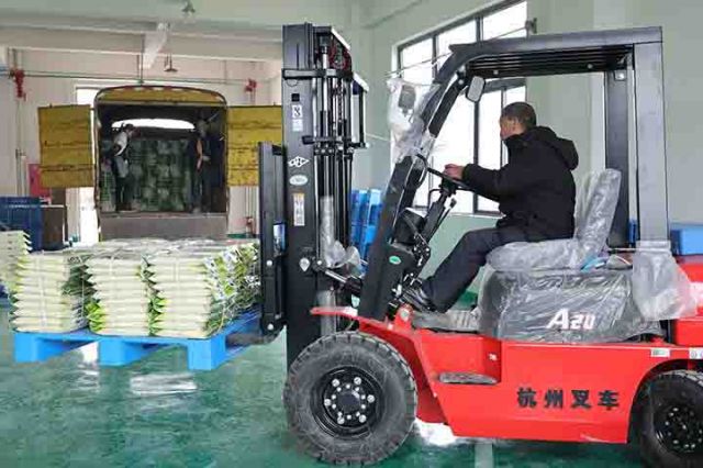 2农业工人正驾驶着装卸车将生产包装好的袋装米运送到厢式货车内  周淼葭 摄.JPG