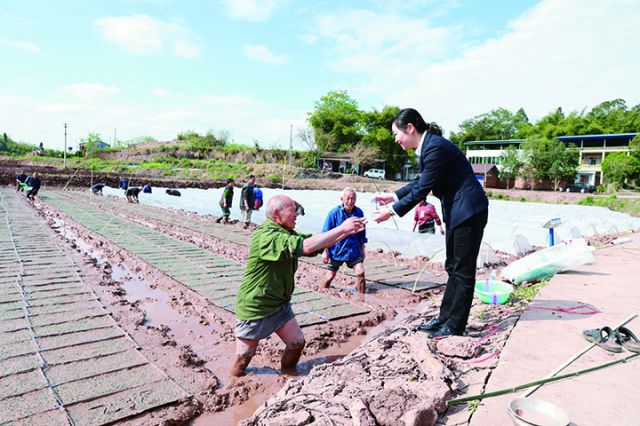 仁寿农商银行工作人员深入田间地头了解农户情况.JPG