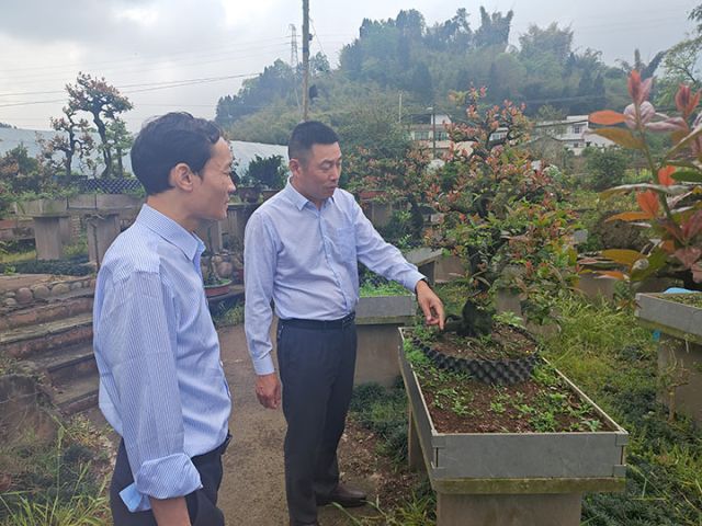 2泸州农商银行党委书记、董事长王勇了解花卉市场种养情况.jpg