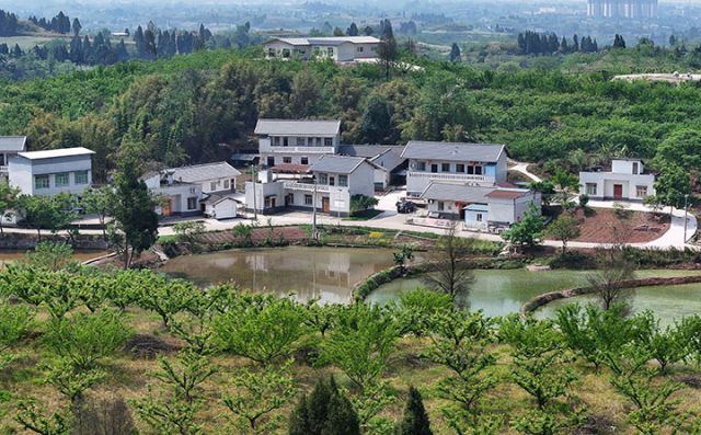 图1  4月15日，内江市东兴区椑木镇红林村，新近建成的糖房湾大院、门家大院与周围的产业共同构成了美丽的田园画卷。.jpg
