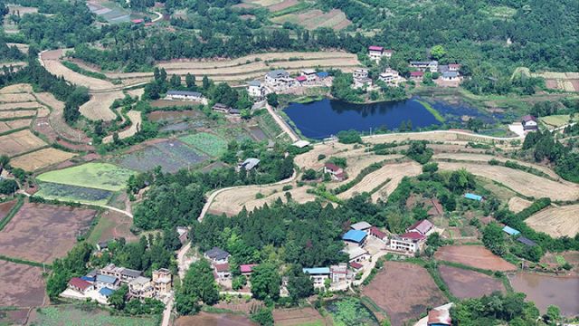 图5  4月26日，内江市东兴区石子镇龙安村，金黄的麦田与青山绿水共同构成了美丽的乡村画卷。.jpg