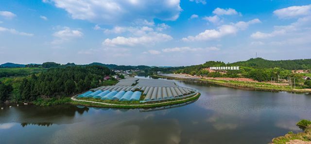 图2 阳化河.jpg
