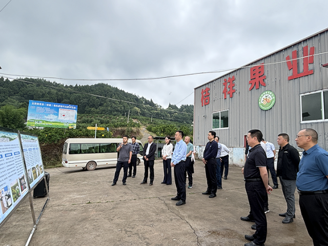 图3 川渝六区县人大调研组到龙门镇农科村调研水肥一体化运行情况.png