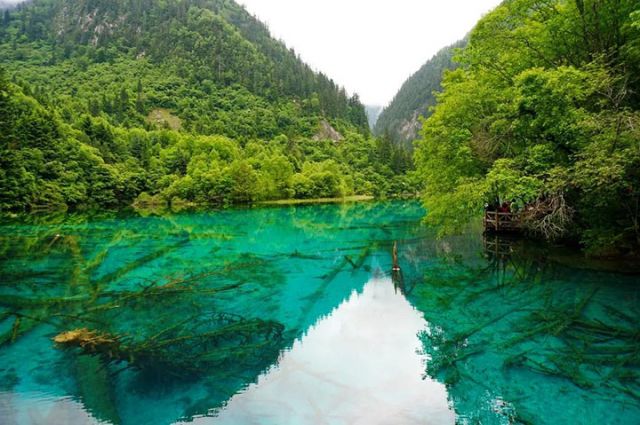 图片5.jpg
