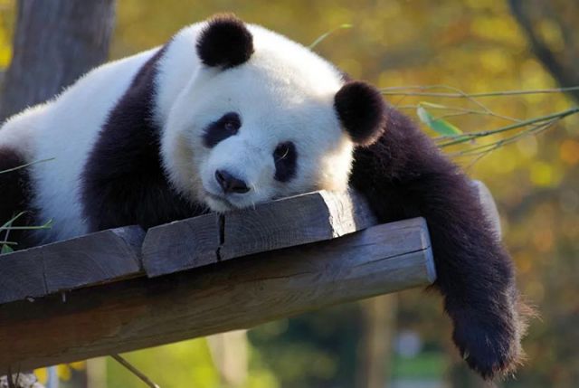 图片11.jpg