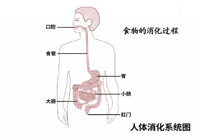 图片9.jpg
