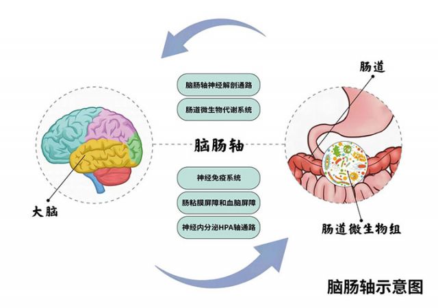 图片12.jpg